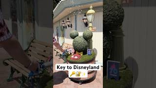 ✨ We found the Key to Disneyland 🔑 Unlock the magic of Disneyland with us 🏰
