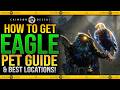Crimson Desert - How To Get EAGLE Pet Tame / Best Eagle Locaitions Guide - How To Catch Birds