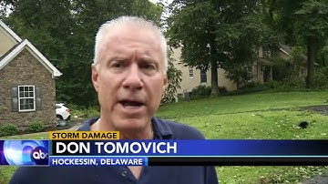Severe storms bring down trees throughout Delaware Valley region