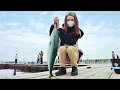 【女子の1人釣り】自分の股下以上の魚捌いてみた【伊藤えま】