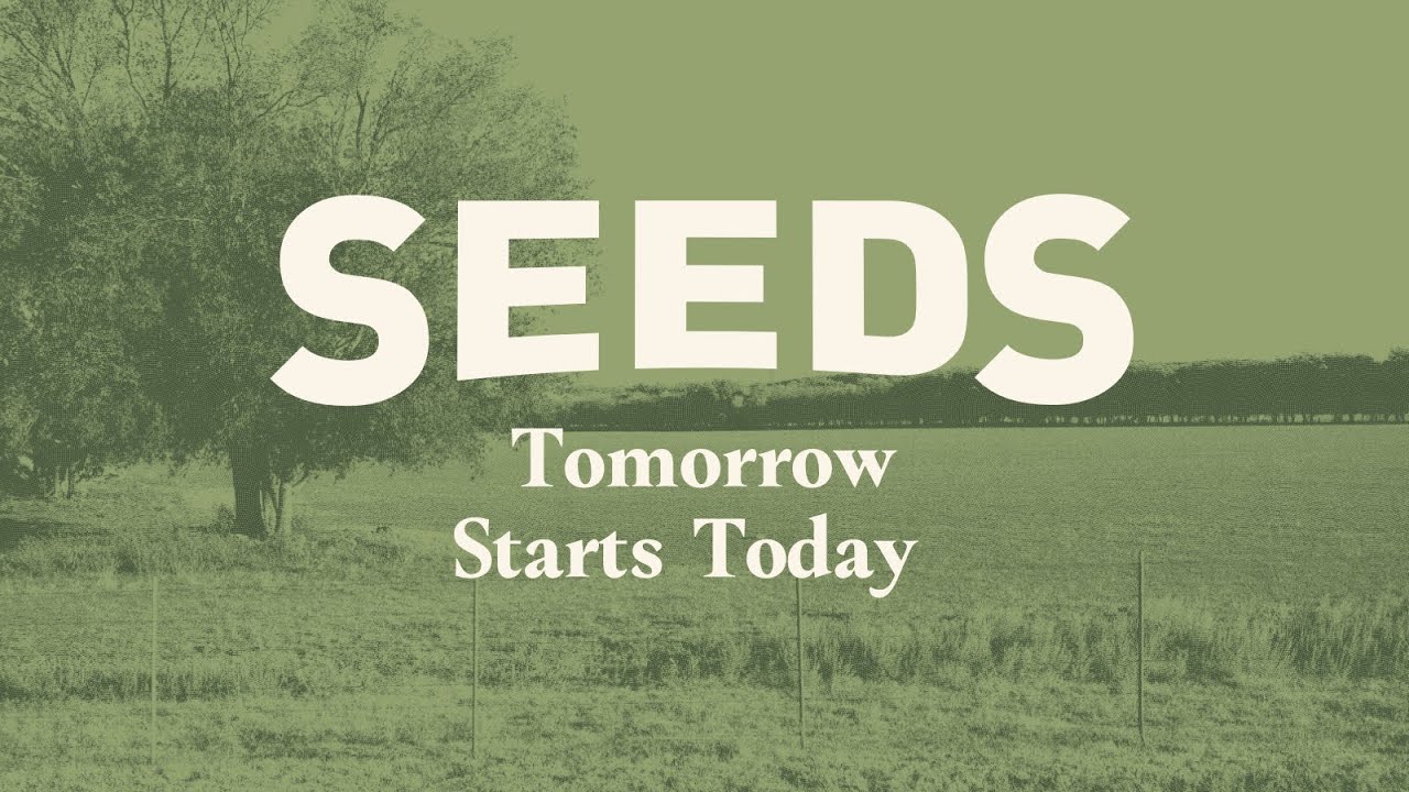 SEEDS Promo Video