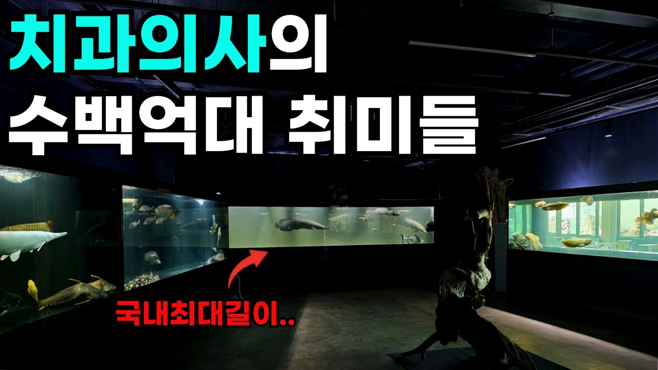 수백억을쓴 현직 치과의사의 취미는 결국 사고로 이어졌습니다.(관상어,운석,광물,화석 다 사들인 남자와 아들의 이야기)