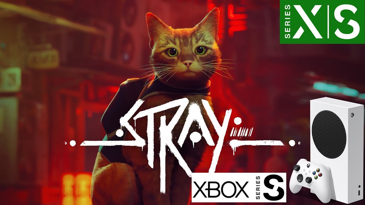 Stray, o jogo do gato, chega ao Xbox em agosto