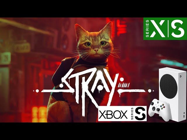 Stray I Jogo do Gatinho AO VIVO no Xbox Series S 