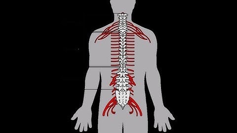 081719 : : 010140 : "Vientiuno Divisiones"