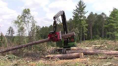2012 John Deere 703 JH Processor with a Waratah 622B Processing Head.