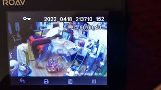 Mouse takes lid off candy jar in husbands shop. 🐭😂 Better video. by nanny geo 30 views 2 years ago 44 seconds