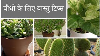 Vastu tips for plants - कौन से पौधे आपके घर के लिए शुभ हैं