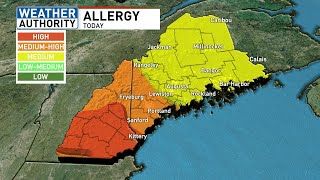 Maine battles medium to high pollen levels, rain expected soon