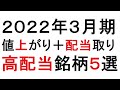 2022年3月期 高配当+値上がり狙い銘柄5選!【緋水の株ちゃんねる】