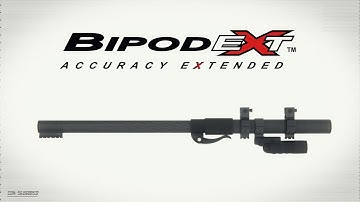 BipodeXt - An Introduction