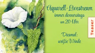 TEASER - realistische Blumen malen in Aquarell - HEUTE: weiße Winde