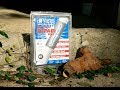 Emergency Iron Pipe Repair - 2