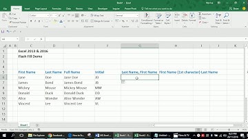 Excel 2013/2016 - Flash Fill Demo