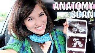 Anatomy Scan Without My Husband | Pregnant During COVID-19