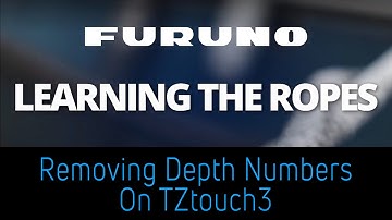 Learning the Ropes - How to Remove Depth Numbers From DFF3D Windows on TZtouch3