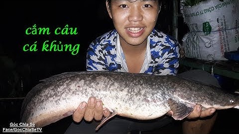 CẮM CÂU CÁ KHỦNG hai anh em nhảy xuống bắt cá luôn !