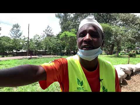 Video: Bustani Ya Jikoni Kwenye Windowsill