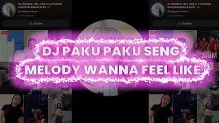 DJ PAKU PAKU SENG MELODY WANNA FEEL LIKE by:aldyycui