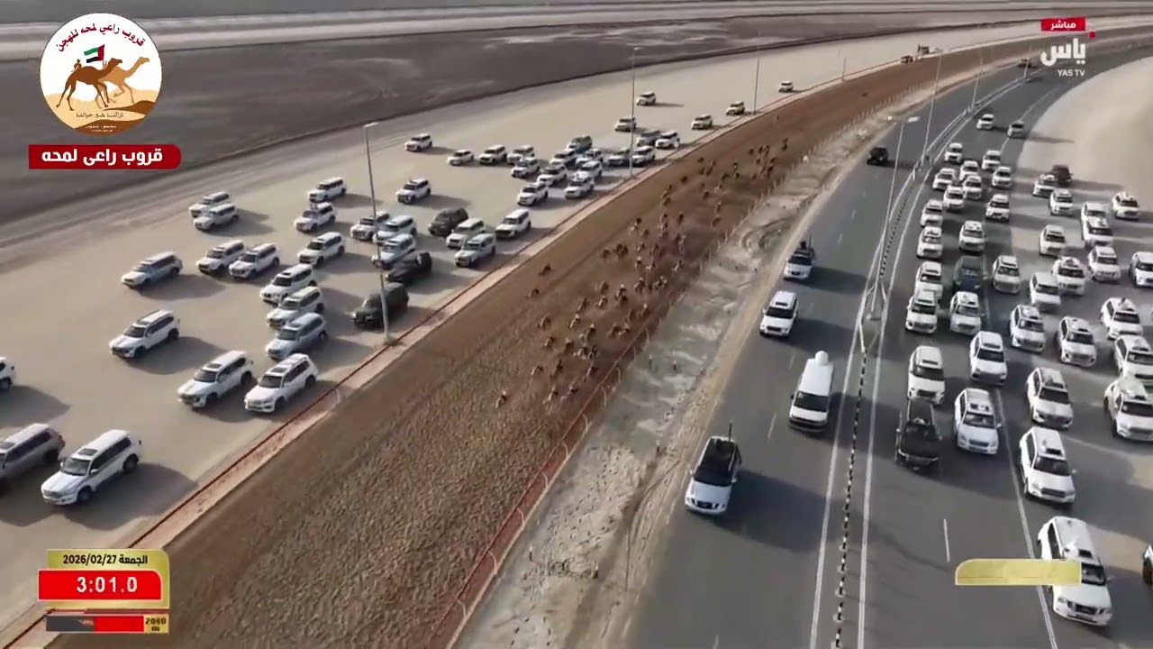 الشوط 10..راهي لـ صبيح حمد سالم حمود الوهيبي 5:46:95( مهرجان ختامي الوثبة 2026 )