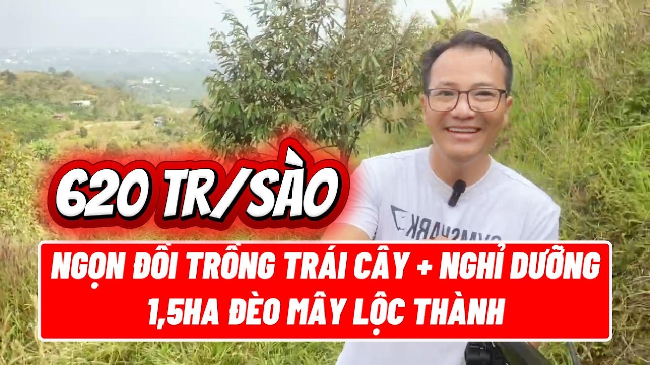 1,5ha Đồi Cây Ăn Trái Lộc Thành | Minh Triết Bảo Lộc Review Đất Vườn