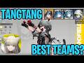 BEST Tangtang Teams?! How To Use Her! [Arknights Endfield]