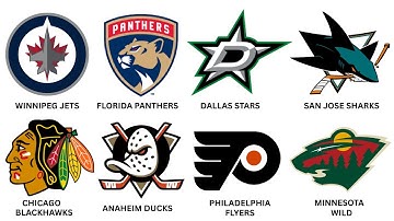 Every NHL Team Explained in 26 Minutes