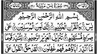 Surah Yasin(Yaseen)Surah Rahman Beautiful recitation|Ayatul Kursi tilawat|Manzil Dua Surah Mulk(555)