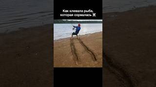 Ставь лайк, рыбак) #рыбалка #рыба #карась #карп #фидер #спиннинг #щука #судак #окунь #сом #рыбак