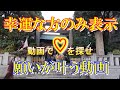 【東京大神宮一人旅】幸運な方のみ表示される心願成就の凄動画 #21 東京パワースポット