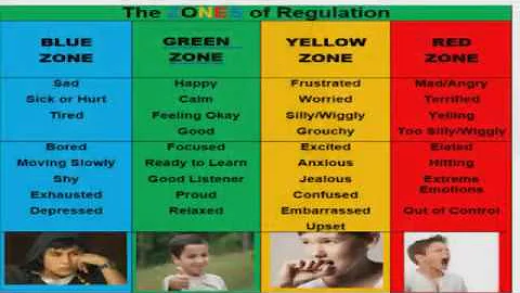 Zones of Regulation with School Counselors Emily H...