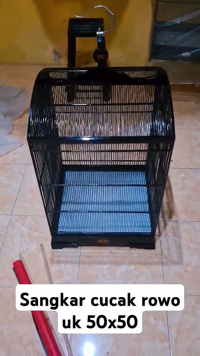sangkar cucak rowo uk 50x50 papan cueperr