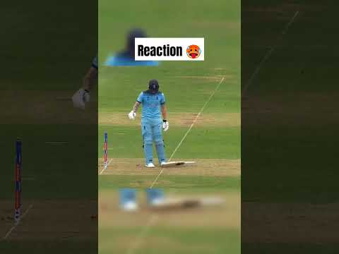 Mitchell Starc Best Yorker Starc Chahal Pollard Rohit Virat Benstokes