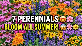 7 Perennials That Bloom for 5+ Months 🌿 Nonstop Color from Late Spring Until Frost
