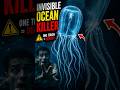 This Jellyfish's Venom Is Terrifying #geography #ocean
