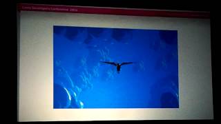 Another World postmortem - Credits (GDC 2011)
