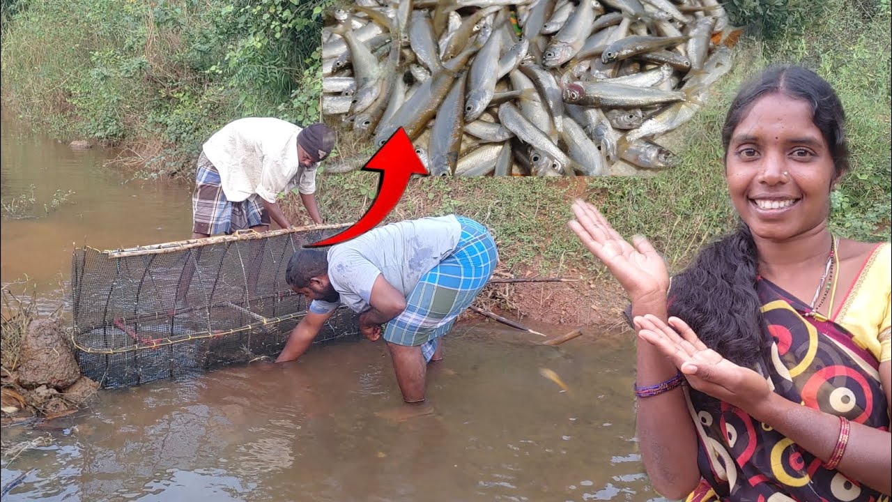 ఈరోజు రాత్రి కోడము వేస్తే చేపలు కూడా పాము కూడా పడింది#mgvvlogvideos
