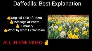 Daffodils by William Wordsworth: Best Explanation