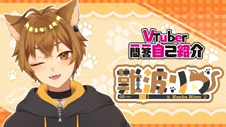 「【自己紹介】Vtuber一問一答自己紹介【難波りつ/Vtuber】」のサムネイル