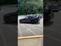 GT Mustang revs #fordmustang #v8 #viral  #mustang #ford