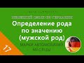 Урок №17: Определение рода по значению (мужской род) | НЕМЕЦКИЙ ЯЗЫК ИЗ ГЕРМАНИИ