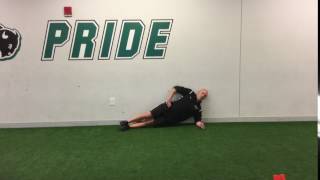 Wall Side Plank w/ Hip Taps