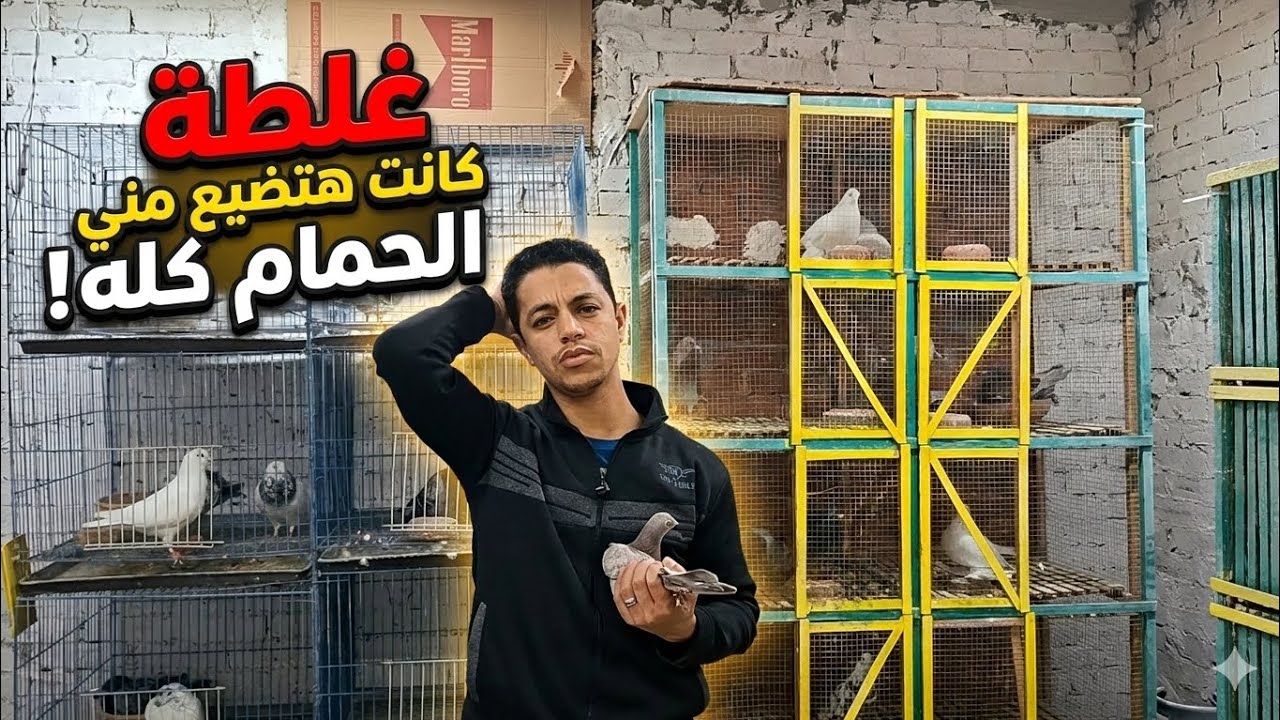 عملت حاجه كانت هتخسرني حمام السلاكة كله (لازم تعرفها )👌💣