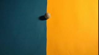Squash & Stretch stop motion