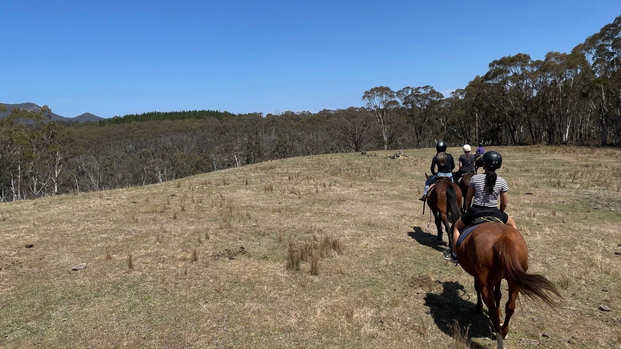 Horse Ride - Centennial Glen Stables, Blue Mountains, Australia (GoPro Hero11 TimeWarp 4K Video)