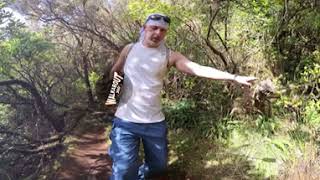 360VR - Madeira - Ribeiro Loop 2of7 - Feiteiras de Baixo to Levadad do Poço do Bezerra