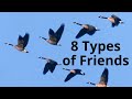 8 Types of Friends - Dr. K. N. Jacob