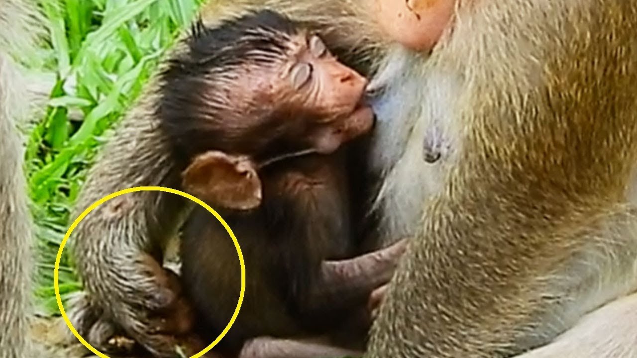 foundation medicine Healthy Arm Hugging Baby Danaila Is the Best Warm_Best LOve MOm to Poor Baby