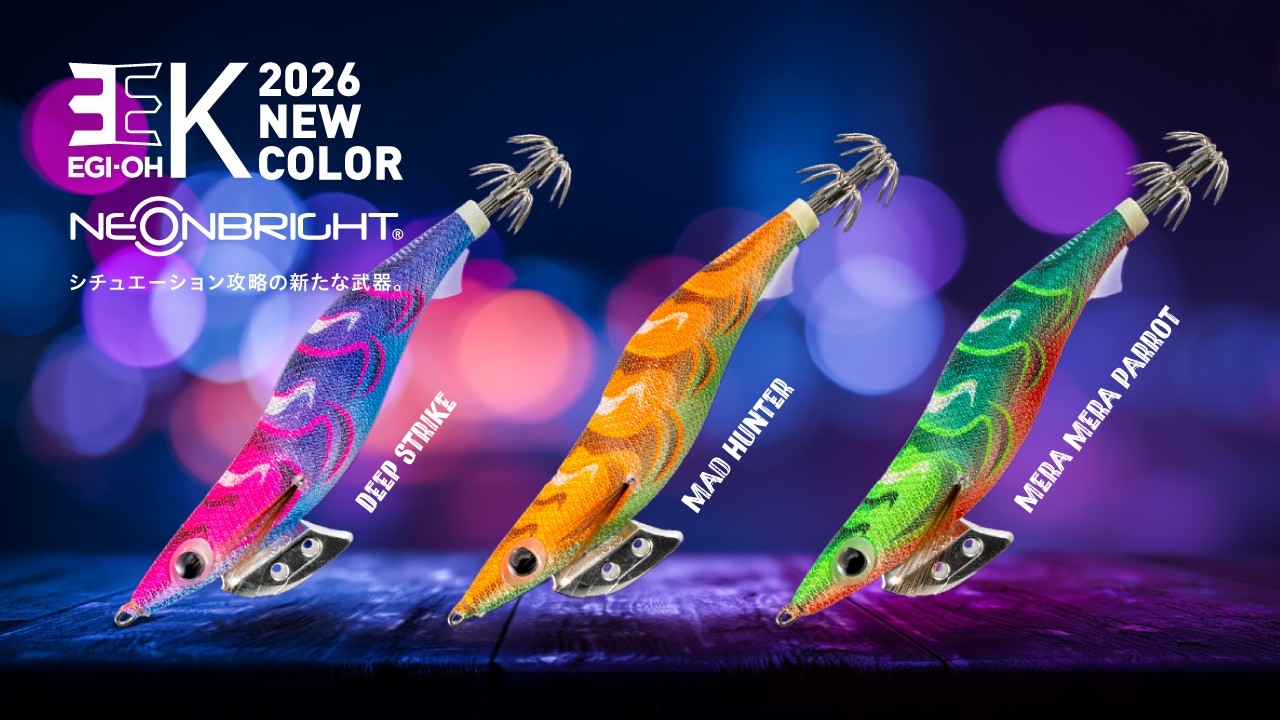 エギ王K 10周年記念限定モデル】スレたアオリイカに効果的な限定クリア