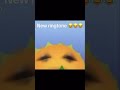 Good Morning Wakeup Goodmorning Nigga 